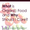 What is Organic Food and Why Should I Care?